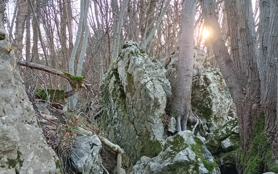 PASSEGGIANDO NELLA TERRA DEGLI ONIGO